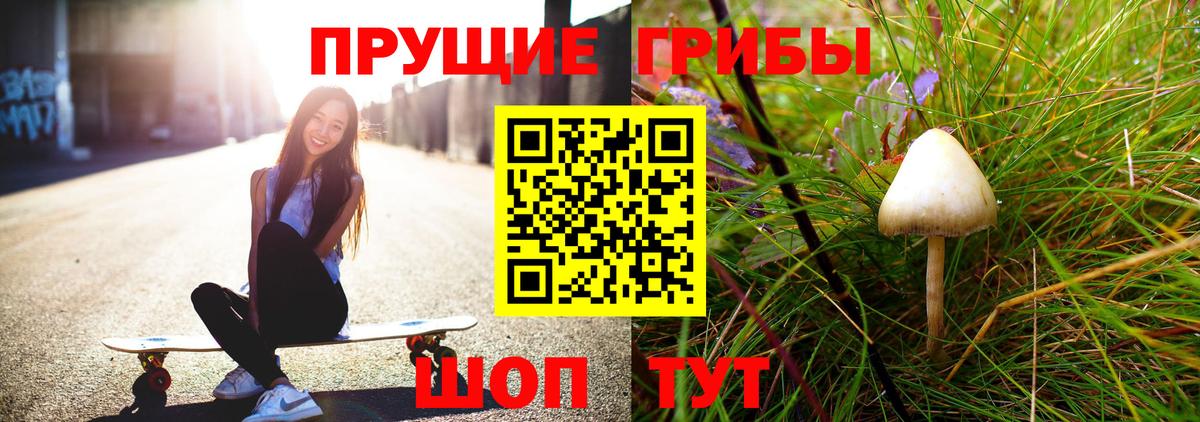 Омск  продажа наркотиков  Вход с VPN  Галлюциногенные грибы прущие грибы 